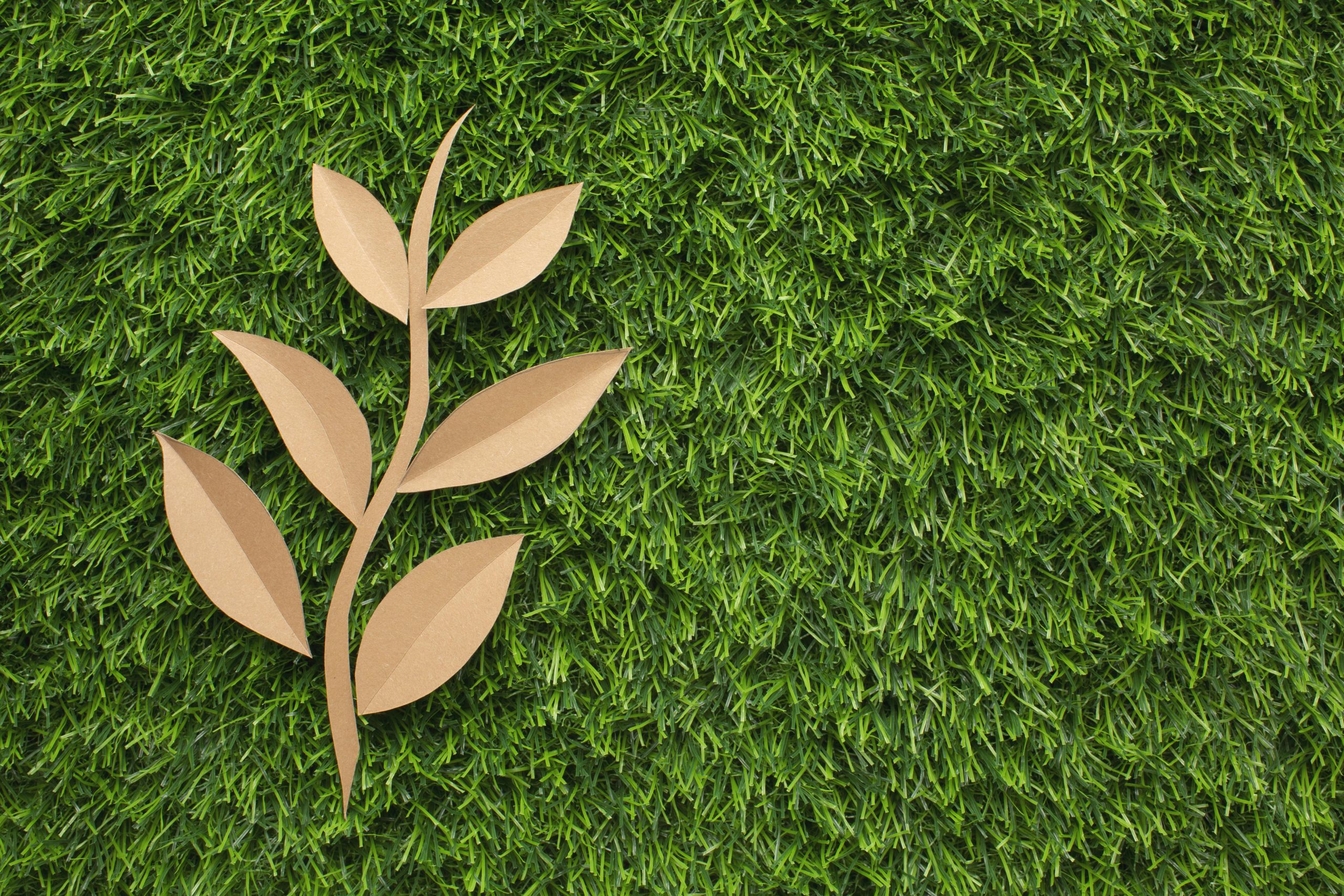 copy-space-leaf-shape-grass copy-space-leaf-shape-grass