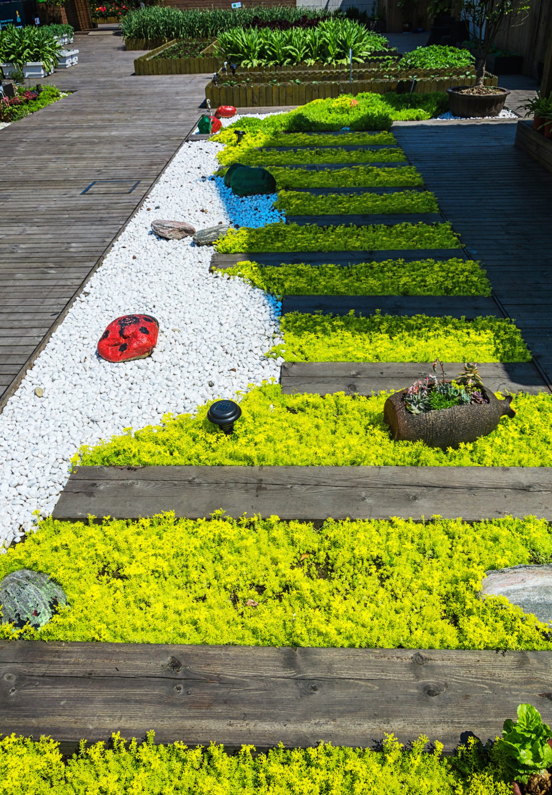 Grass background Grass background