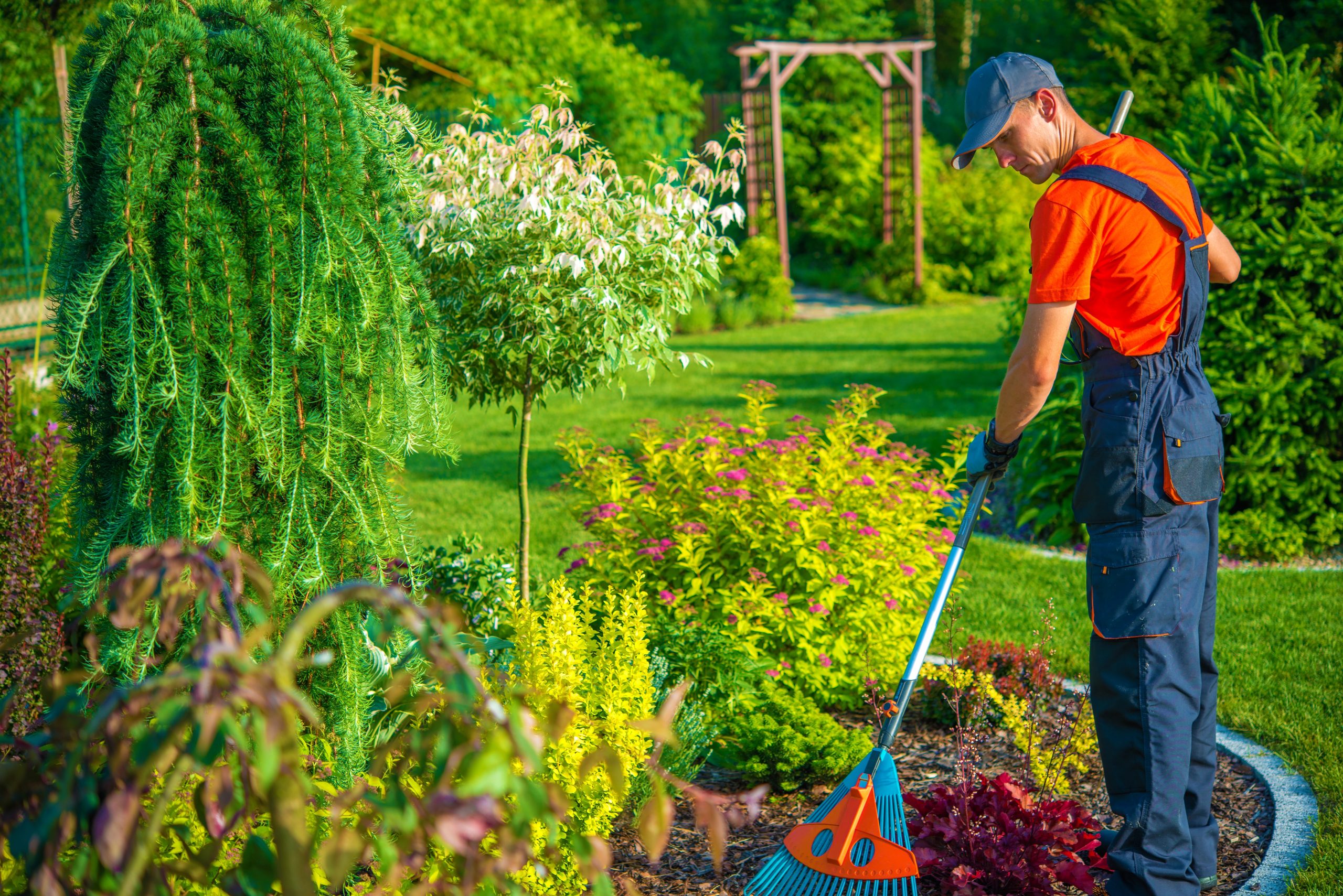 Raking in the Garden Raking in the Garden. Gardener with Rake at Work. Backyard Garden Summer Clean Up.